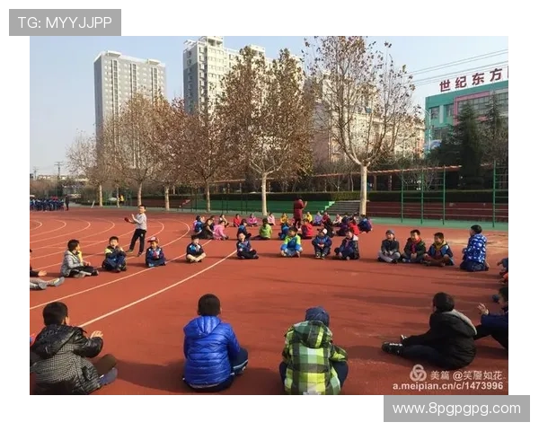 全面解析yaxin体育综合平台的优势与特色